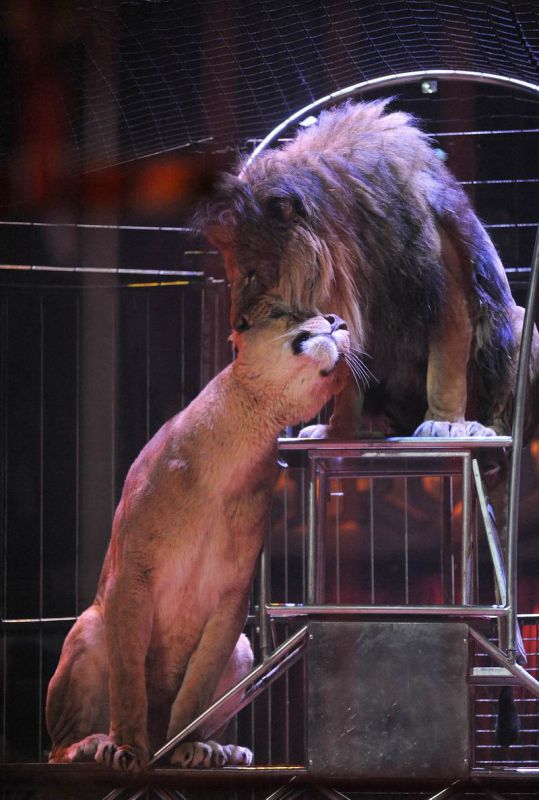 2013_03_01_08114.jpg