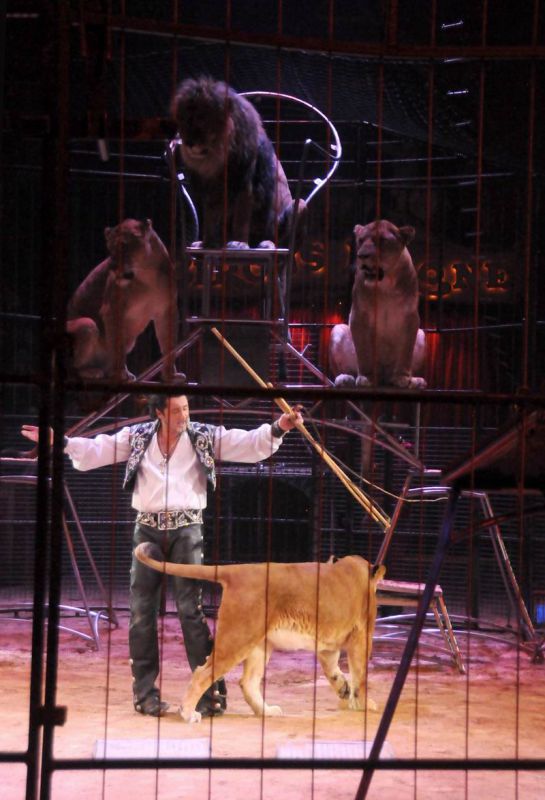 2013_03_01_08126.jpg
