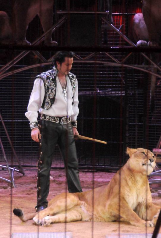 2013_03_01_08127.jpg