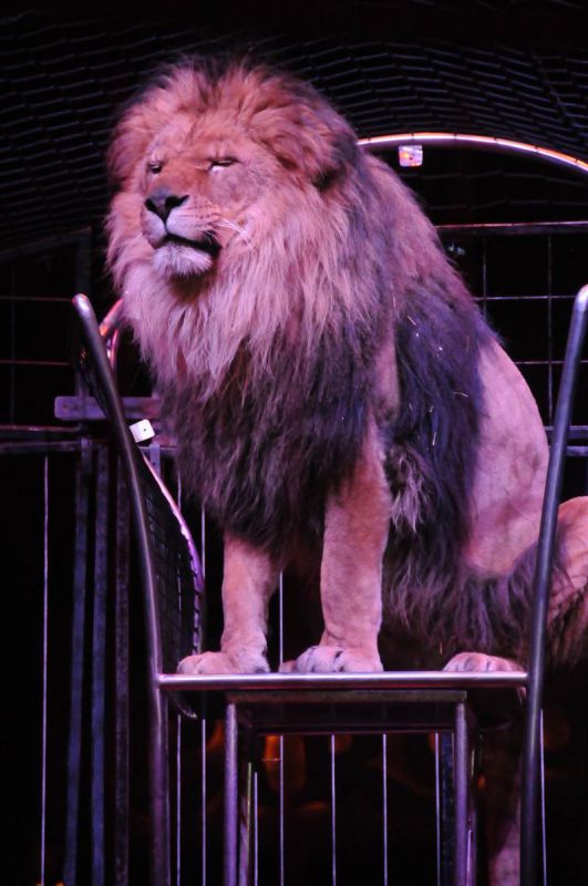 2013_03_01_08152.jpg
