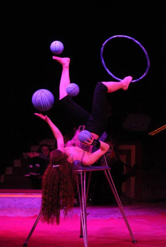 2013_03_01_08274.jpg