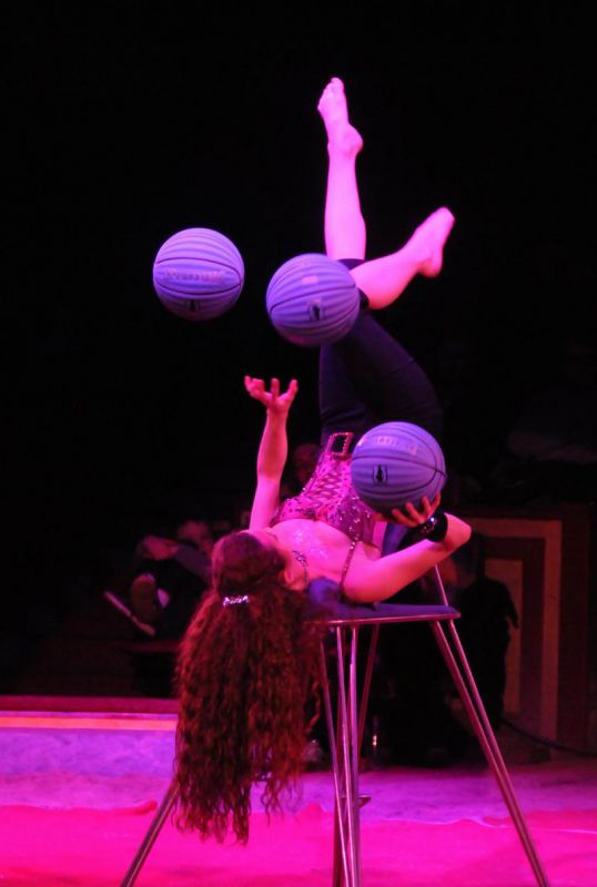 2013_03_01_08281.jpg