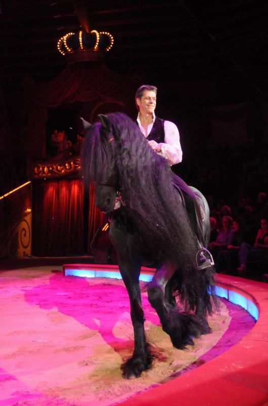 2013_03_01_08305.jpg