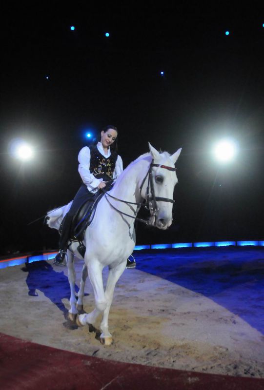2013_03_01_08322.jpg