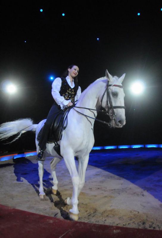 2013_03_01_08323.jpg