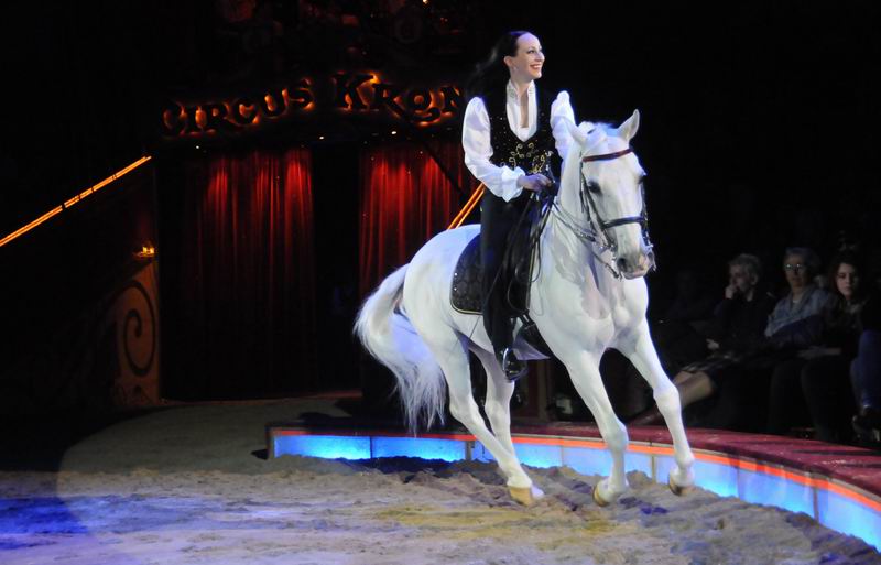 2013_03_01_08329.jpg