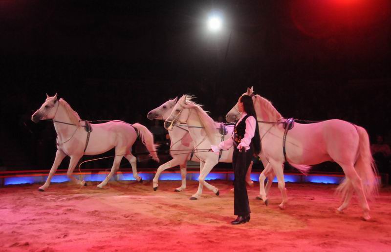 2013_03_01_08340.jpg