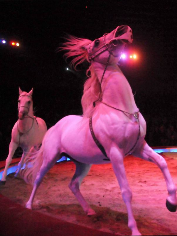 2013_03_01_08344.jpg