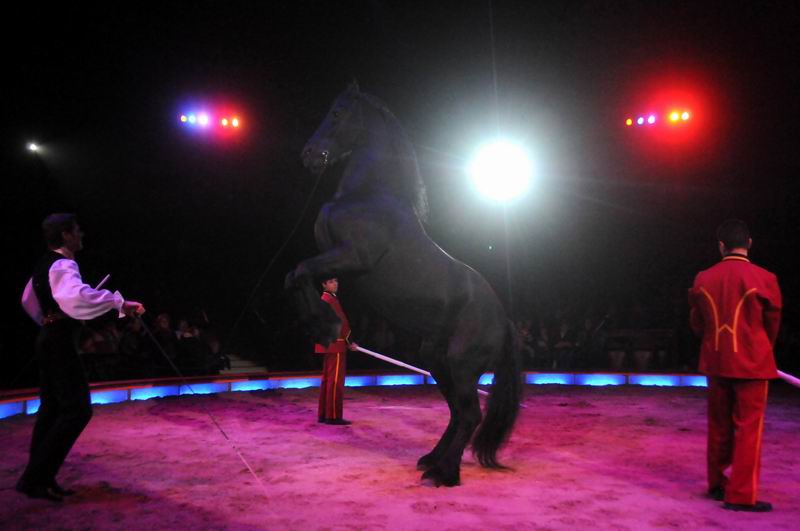 2013_03_01_08349.jpg
