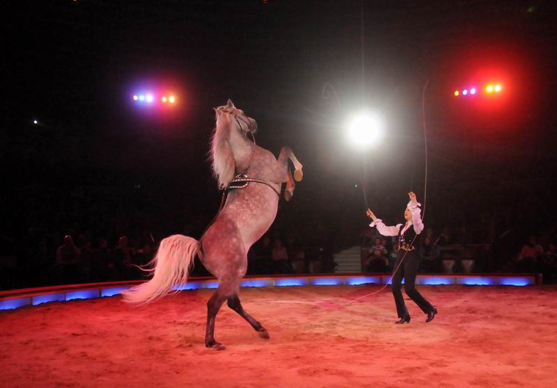 2013_03_01_08353.jpg