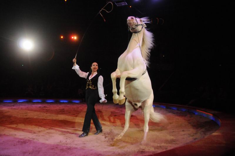 2013_03_01_08359.jpg