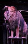 2013_03_01_08150.jpg