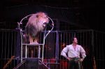 2013_03_01_08153.jpg