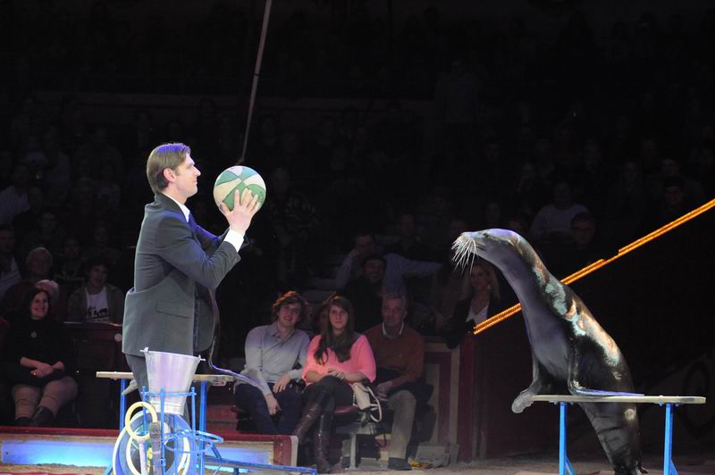 2014_02_01_01755.jpg