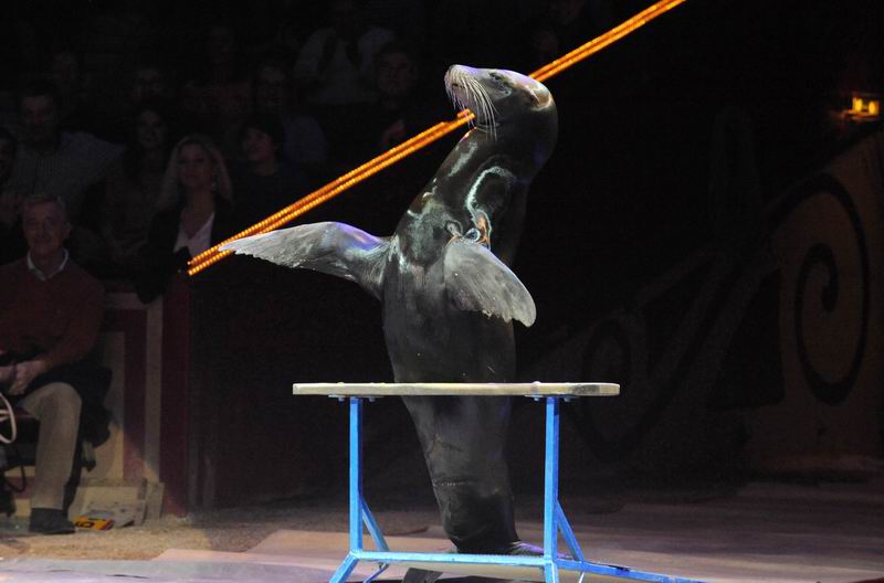 2014_02_01_01799.jpg