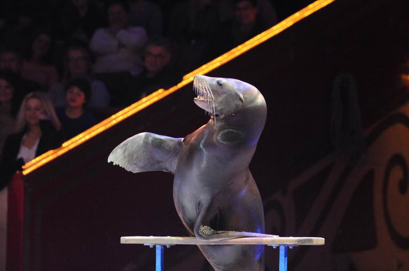 2014_02_01_01968.jpg