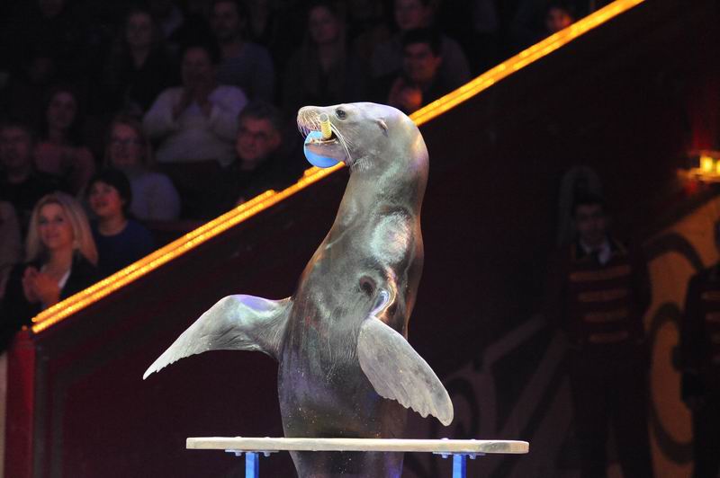 2014_02_01_02057.jpg