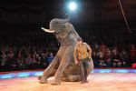 2014_02_01_00498.jpg