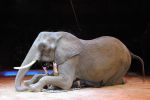 2014_02_01_00616.jpg