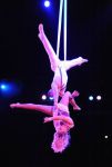 2013_12_25_01677.jpg