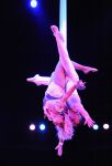 2013_12_25_01696.jpg