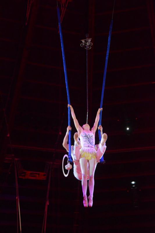 2015_02_01_04450.jpg