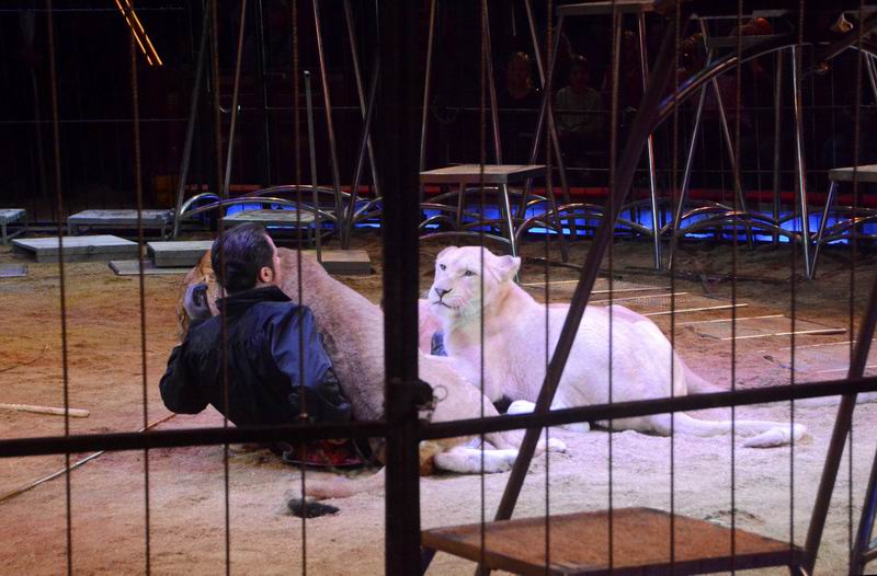 2015_02_01_05399.jpg