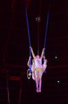 2015_02_01_04450.jpg