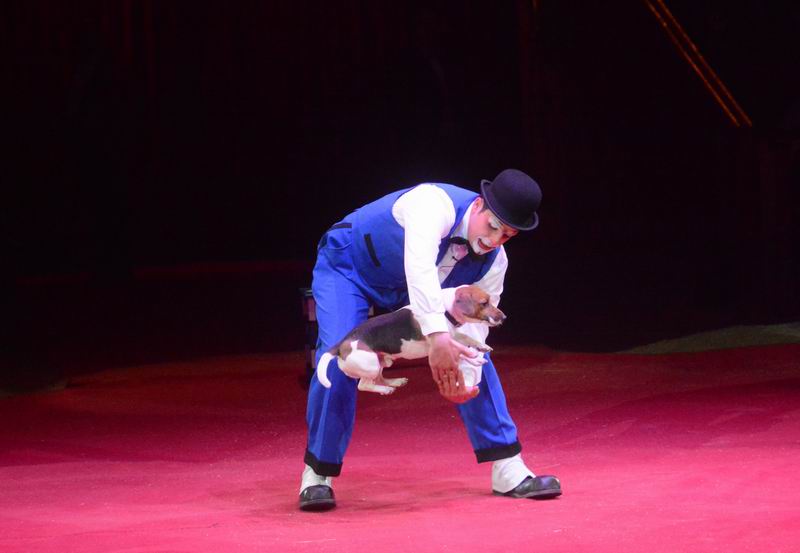 2015_03_01_05926.jpg