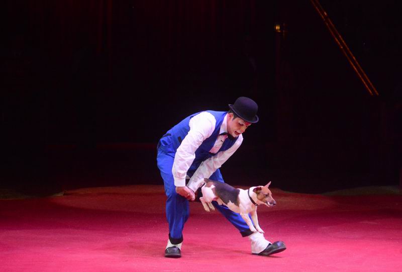 2015_03_01_05927.jpg