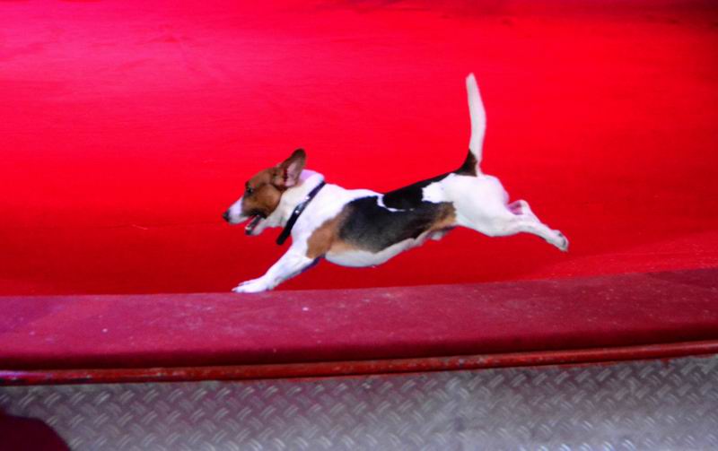 2015_03_01_06057.jpg