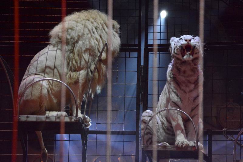2016_03_01_08476~0.jpg