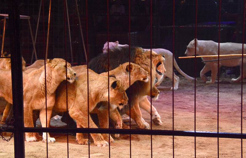 2016_03_01_08723~1.jpg