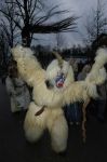 2005_01_06__0354.jpg