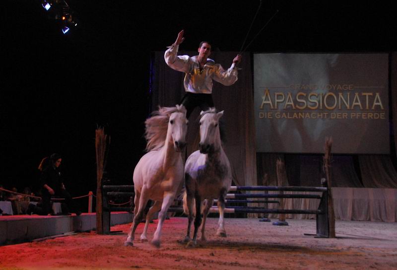 2008_01_05__00018_.jpg