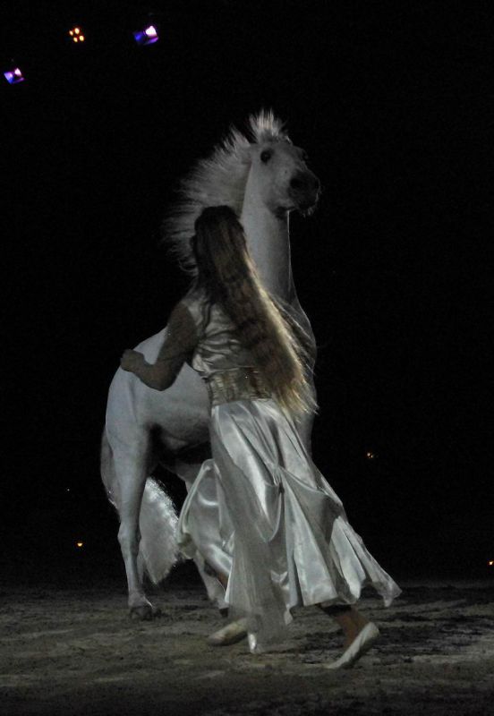 2008_01_05__00055_.jpg