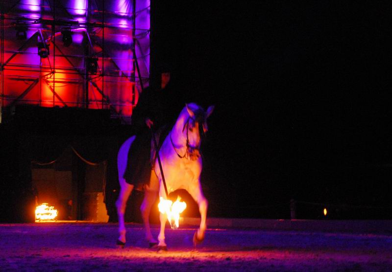 2008_01_05__00152_.jpg