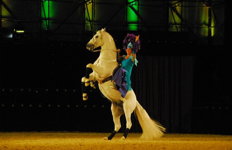 2008_01_05__00466_.jpg