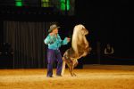 2008_01_05__00458_.jpg