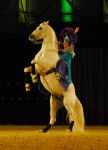 2008_01_05__00470_.jpg