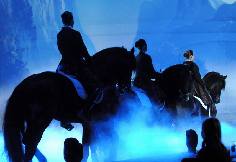 2011_01_08_01575.jpg