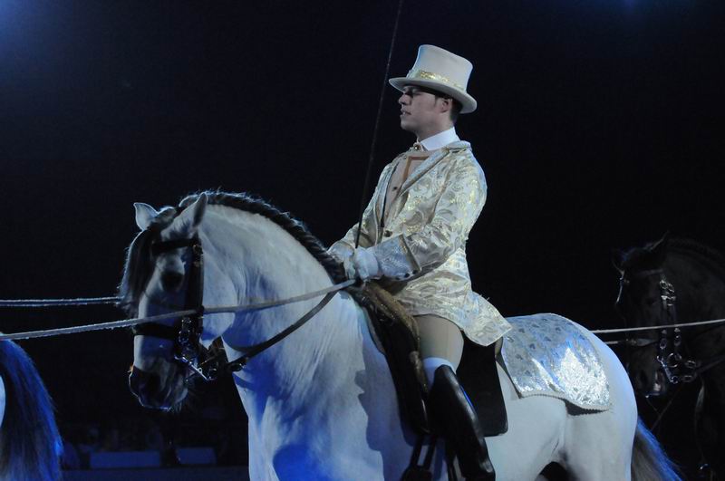 2011_01_08_03336.jpg