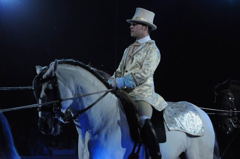 2011_01_08_03337.jpg