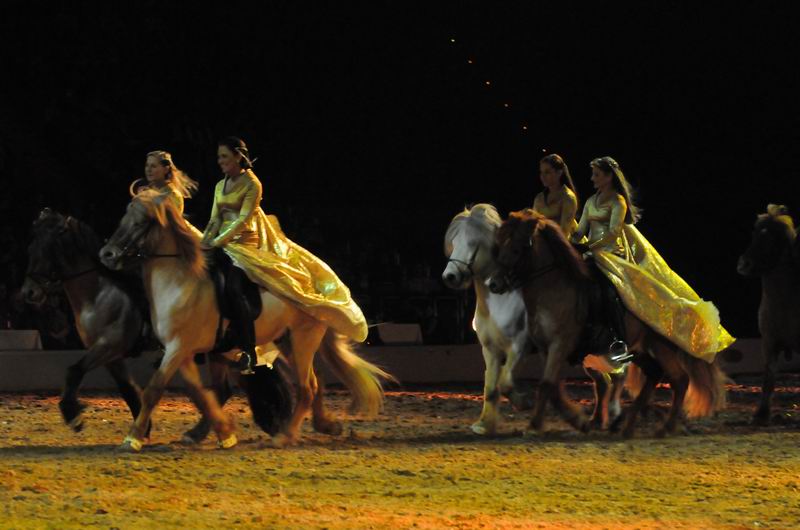 2011_01_08_03445.jpg
