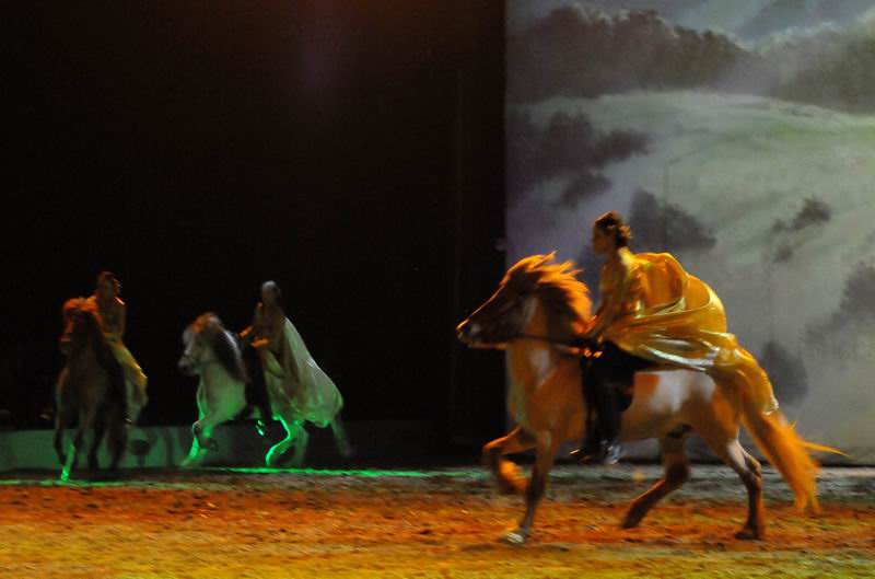 2011_01_08_03531.jpg