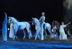 2011_01_08_03283.jpg