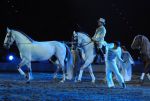 2011_01_08_03286.jpg