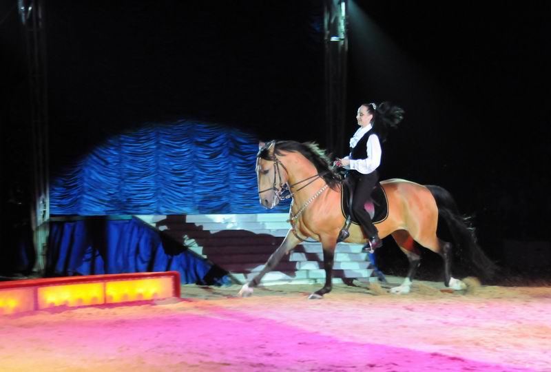 2011_04_07__2566.jpg