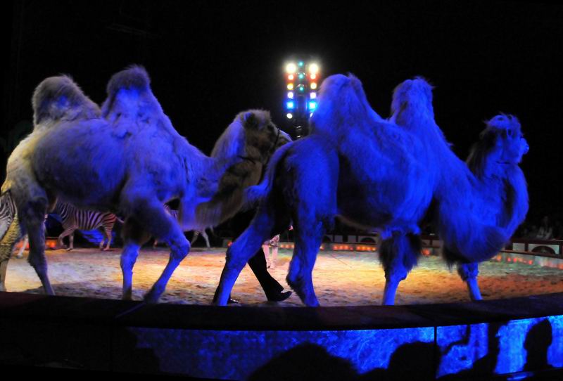 2011_04_07__4099.jpg