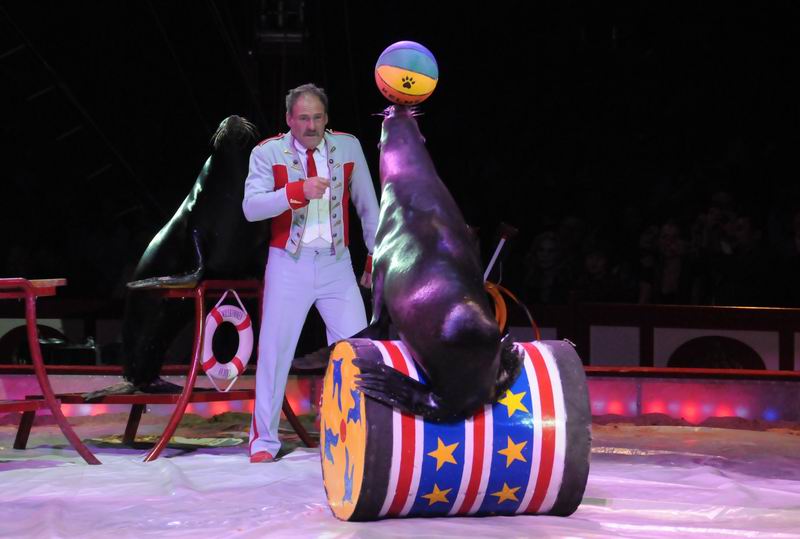 2011_04_07__4555.jpg